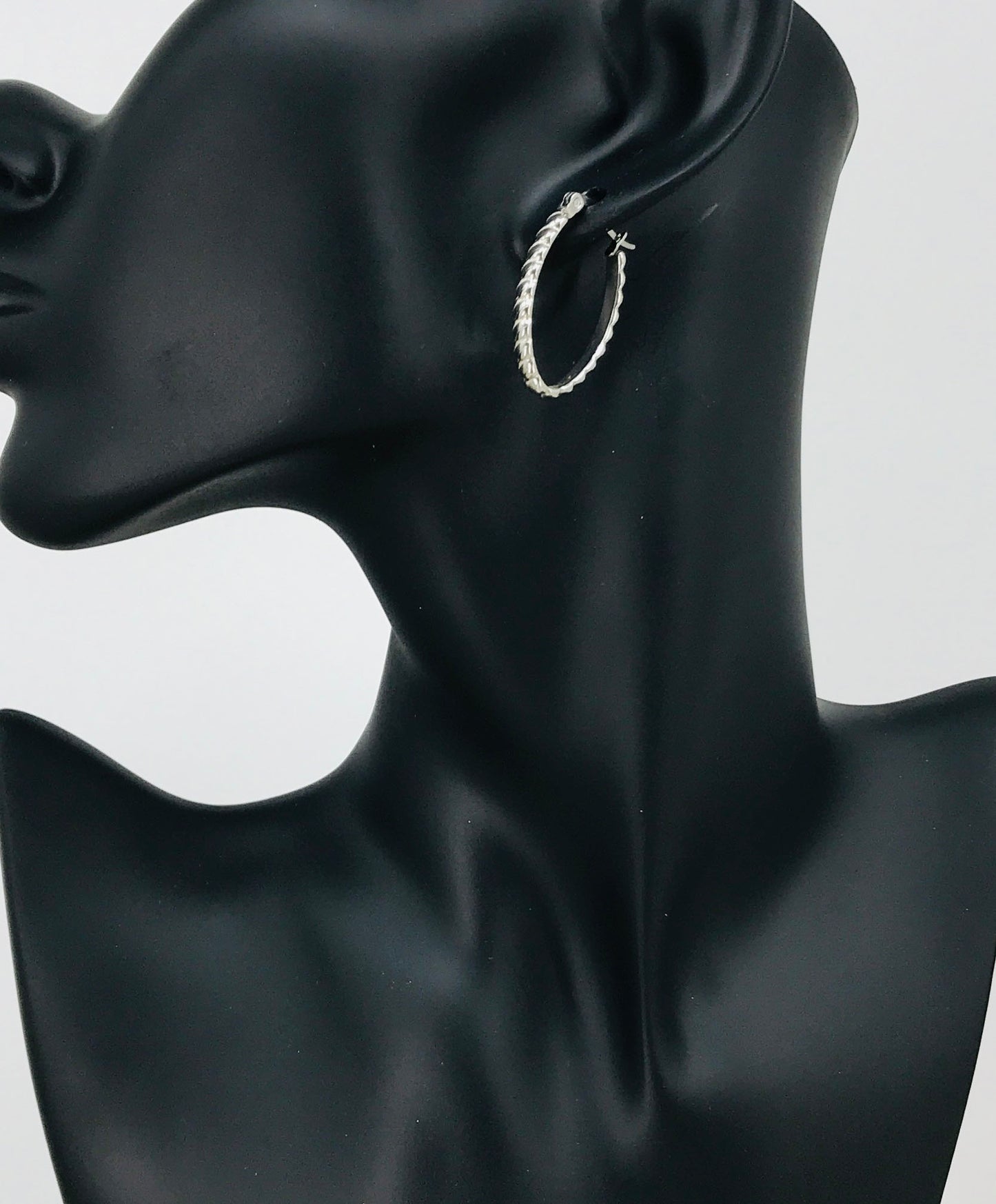 Oval Stainless Steel Hoop Earrings - E19-2639