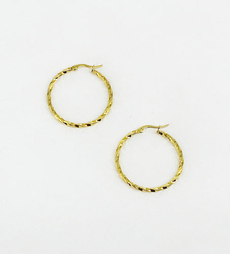 Twisted Golden Stainless Steel Hoop Earrings - E19-2635