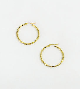 Twisted Golden Stainless Steel Hoop Earrings - E19-2635