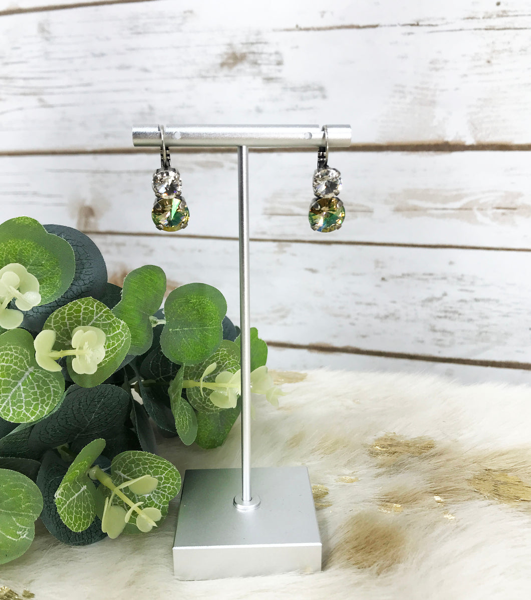 Crystal Earrings - E19-3729