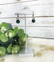 Load image into Gallery viewer, Crystal Earrings - E19-3730