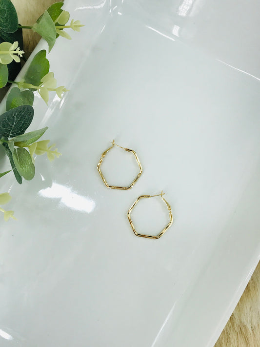 Hexagon Hoops - E19-4111