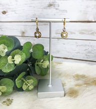 Load image into Gallery viewer, Crystal Pendant Earrings - E19-4263