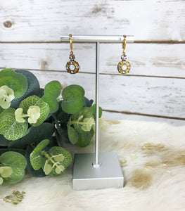 Crystal Pendant Earrings - E19-4263