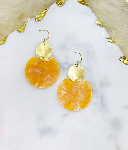 Resin & Brushed Gold Pendant Earrings - E19-4650