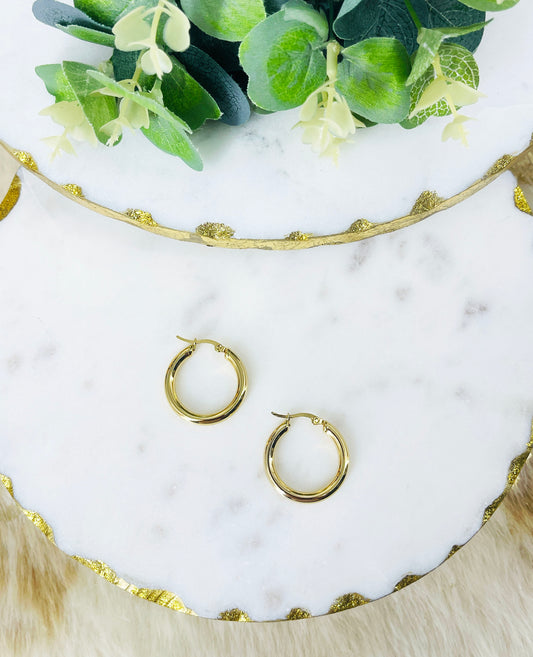 1" Stainless Steel Thick Hoops