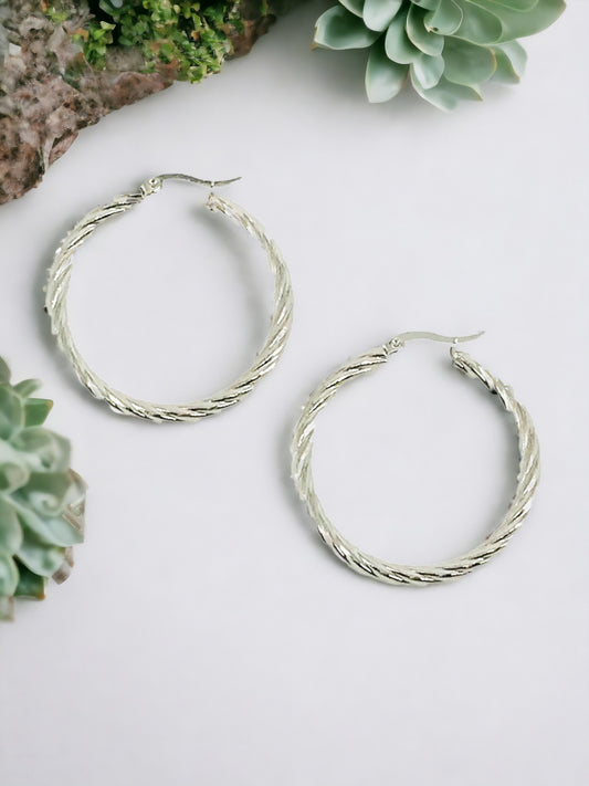 Twisted Stainless Steel Hoop Earrings - E19-2633