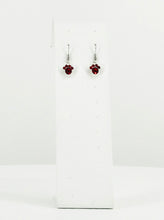 Load image into Gallery viewer, Rhinestone Dangle Earrings - E19-2306