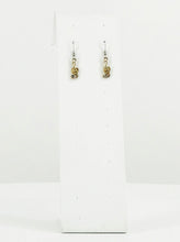 Load image into Gallery viewer, Rhinestone Dangle Earrings - E19-244