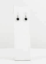 Load image into Gallery viewer, Rhinestone Dangle Earrings - E19-249