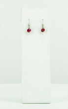 Load image into Gallery viewer, Glass Bead Dangle Earrings - E19-254