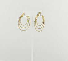 Load image into Gallery viewer, Golden Stainless Steel Hoop Earrings - E19-2632