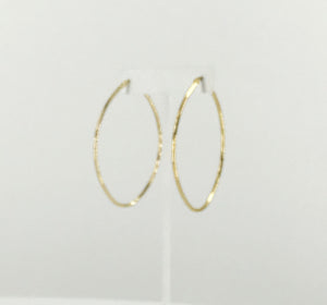 Golden Oval Stainless Steel Hoop Earrings - E19-2638