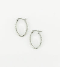 Load image into Gallery viewer, Oval Stainless Steel Hoop Earrings - E19-2639