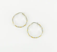 Load image into Gallery viewer, Textured Multi-Color Stainless Steel Hoop Earrings - E19-2640