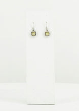 Load image into Gallery viewer, Rhinestone Dangle Earrings - E19-270
