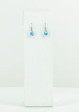 Load image into Gallery viewer, Glass Bead Dangle Earrings - E19-291