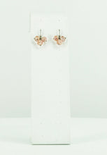 Load image into Gallery viewer, Glass Bead Dangle Earrings - E19-552