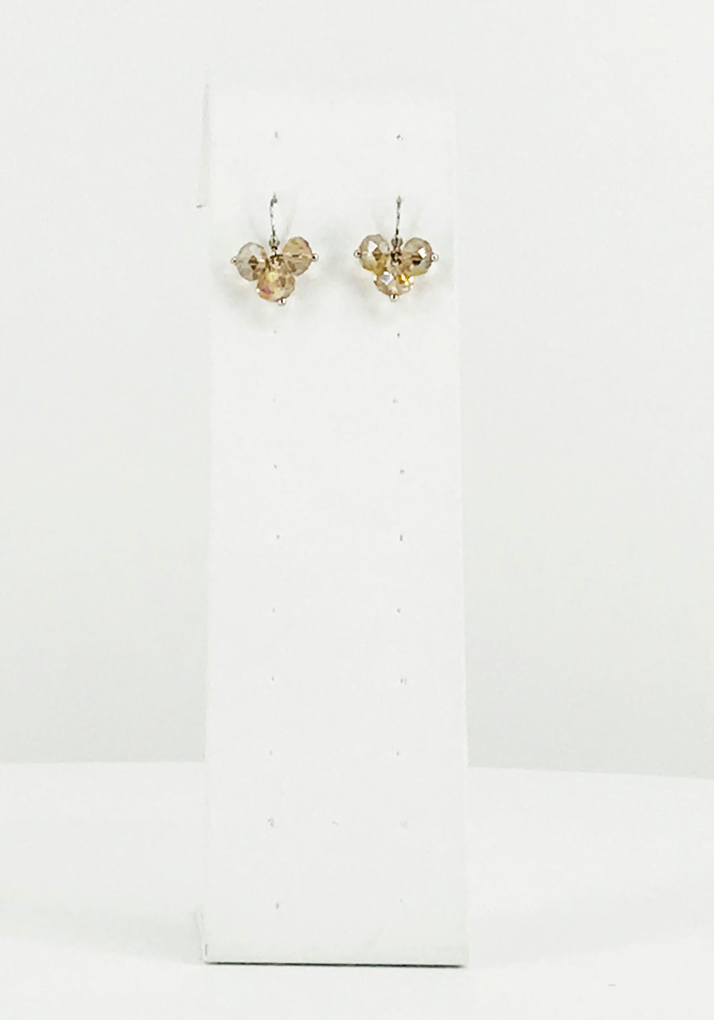 Glass Bead Dangle Earrings - E19-554