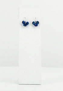 Glass Bead Dangle Earrings - E19-555
