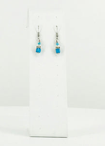 Glass Bead Dangle Earrings - E19-584