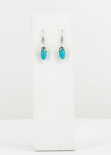 Load image into Gallery viewer, Glass Bead Dangle Earrings - E19-600