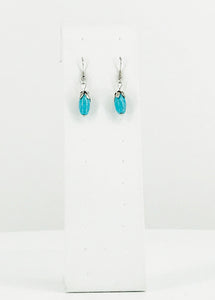 Glass Bead Dangle Earrings - E19-600