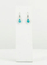 Load image into Gallery viewer, Glass Bead Dangle Earrings - E19-601