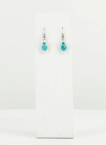 Glass Bead Dangle Earrings - E19-601