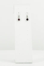 Load image into Gallery viewer, Rhinestone Dangle Earrings - E19-619