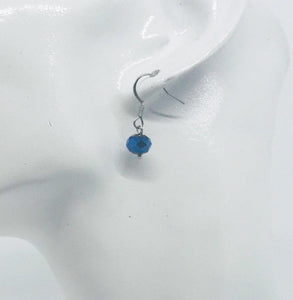 Glass Bead Dangle Earrings - E19-248