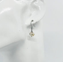 Load image into Gallery viewer, Glass Bead Dangle Earrings - E19-252