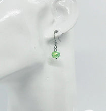 Load image into Gallery viewer, Glass Bead Dangle Earrings - E19-253