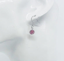 Load image into Gallery viewer, Glass Bead Dangle Earrings - E19-254
