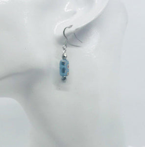 Glass Bead Dangle Earrings - E19-268