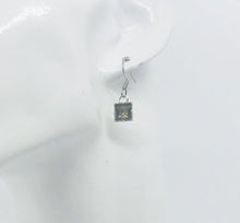 Load image into Gallery viewer, Rhinestone Dangle Earrings - E19-270