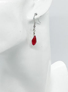 Glass Bead Dangle Earrings - E19-586