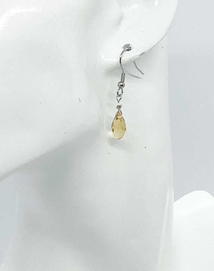 Glass Bead Dangle Earrings - E19-595