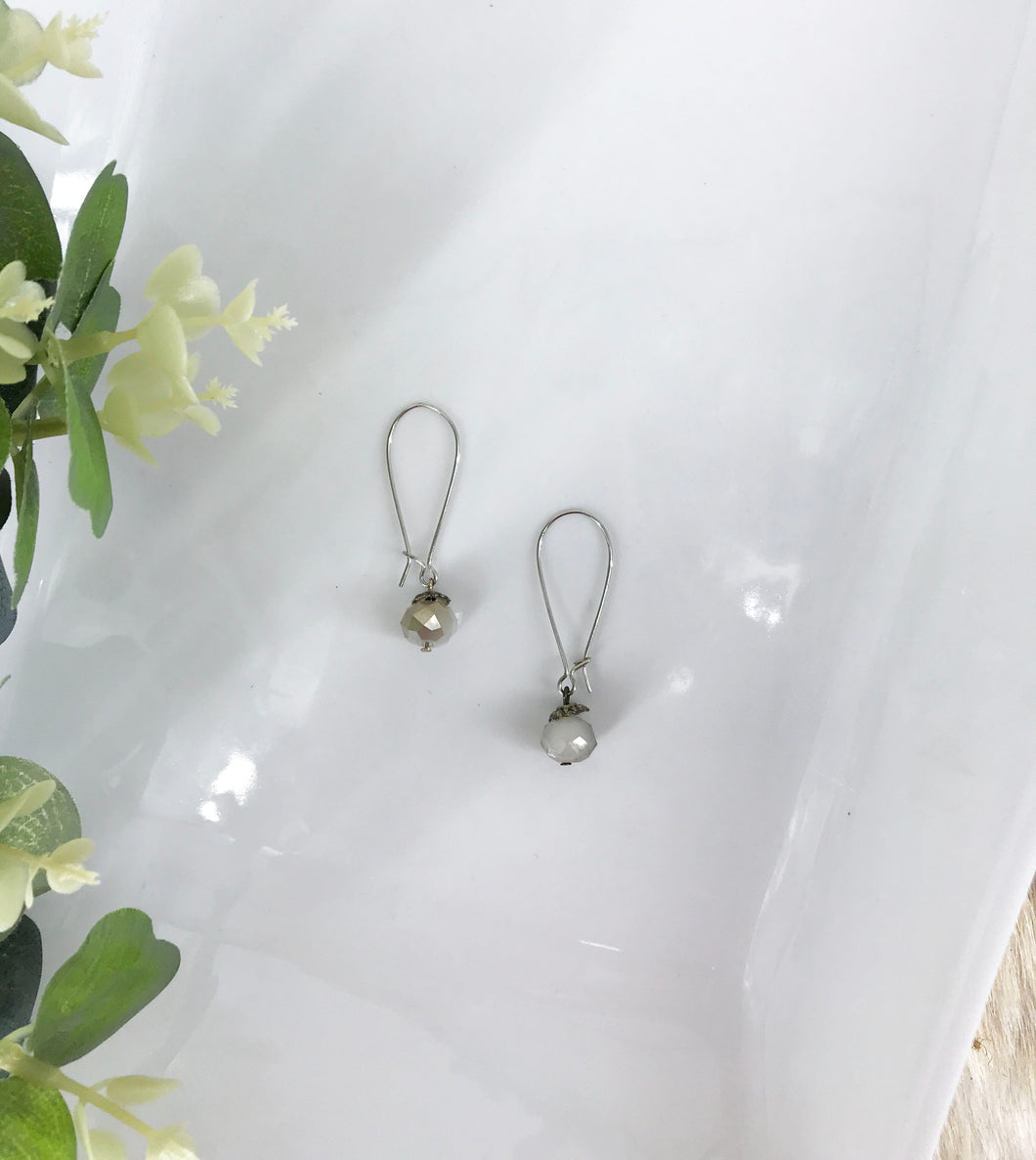 Glass Bead Earrings - E648